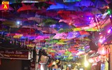 Con đường ô Vạn Phúc, điểm đến không thể bỏ qua của giới trẻ Hà Nội